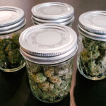 custom cannabis jars