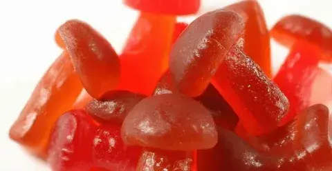 Mushroom Gummies vs. Creatine Gummies: Benefits, Uses, and Which One You Need